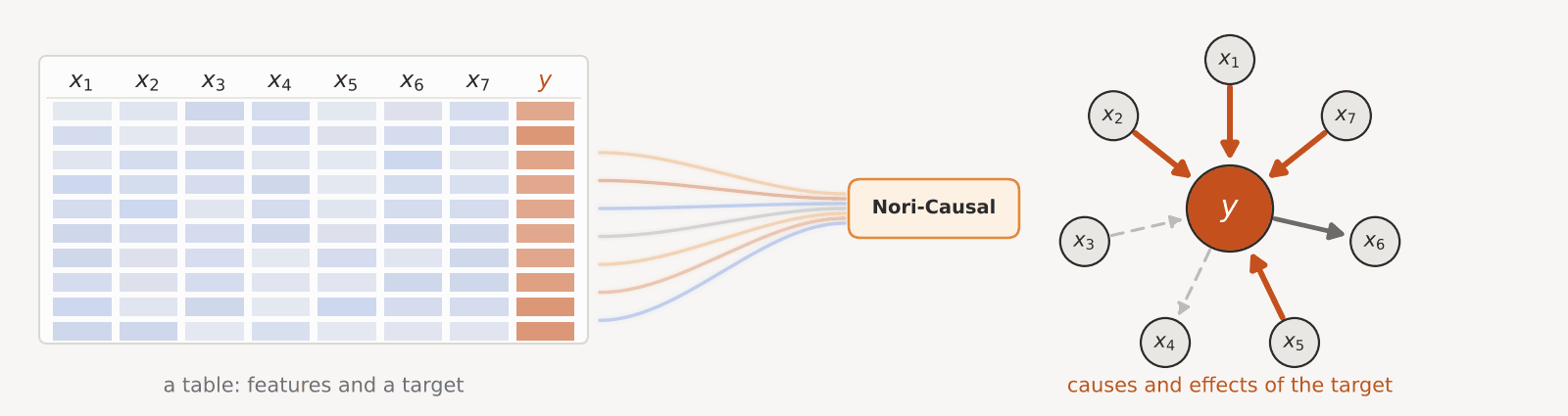 Introducing Nori-Causal: Which Features Drive the Target, and Which Follow It